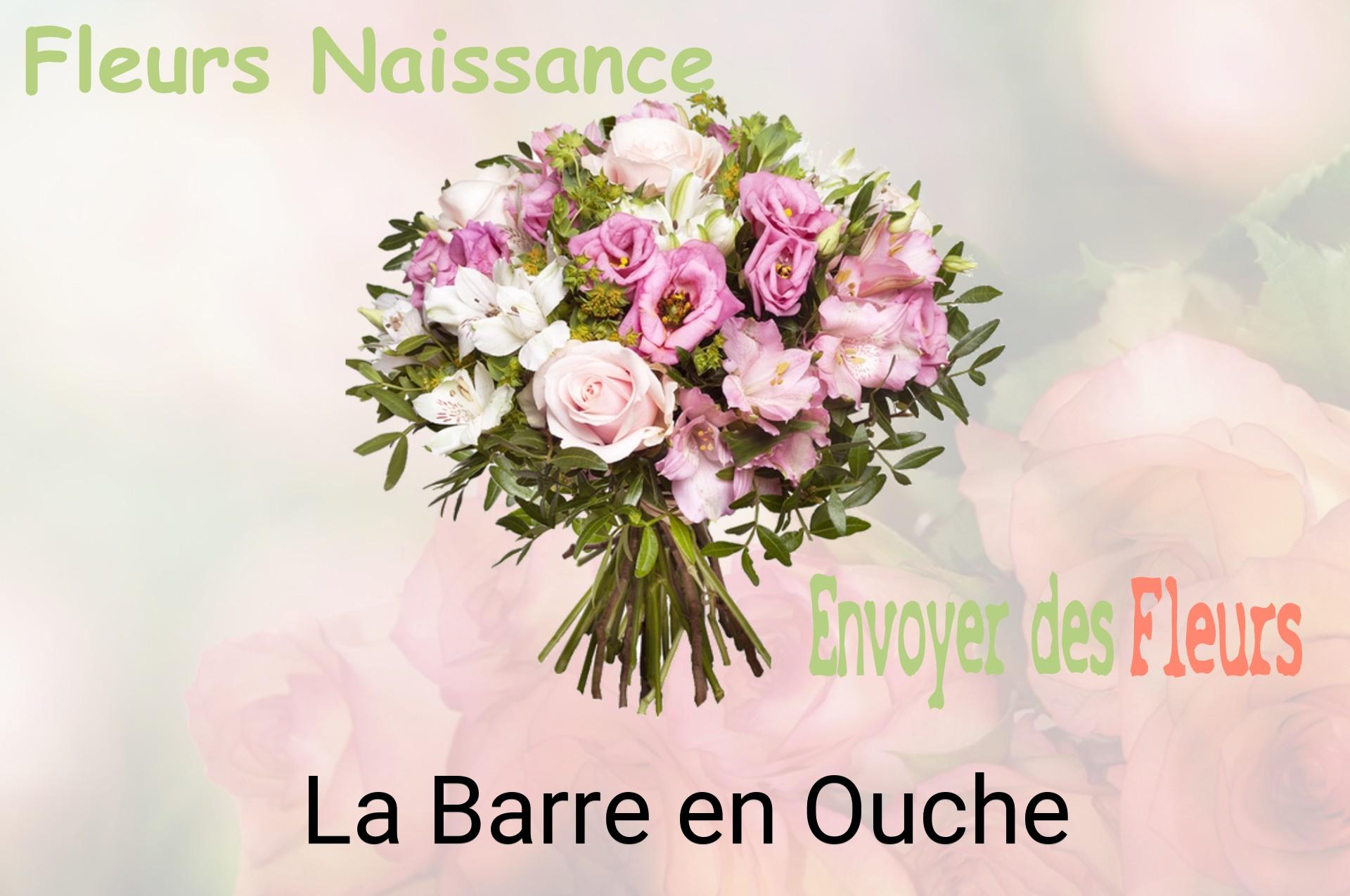 Bouquet de fleurs de naissance livré à La Barre-en-Ouche